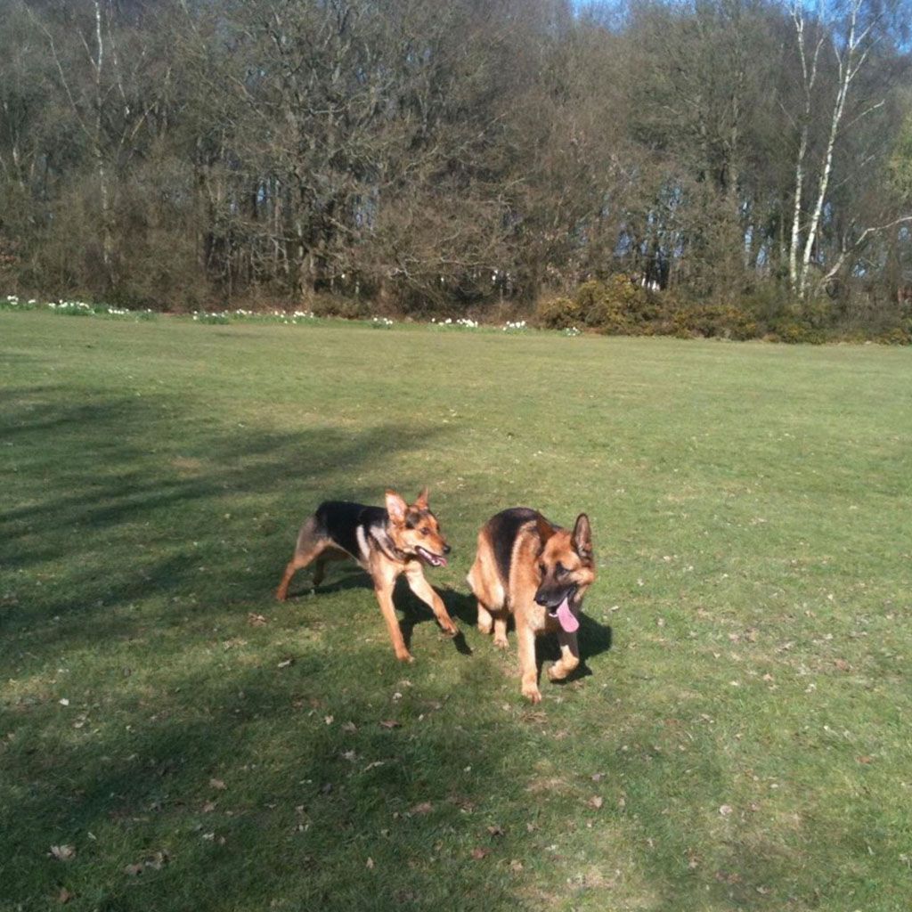 Wiggle bums - Why choose us