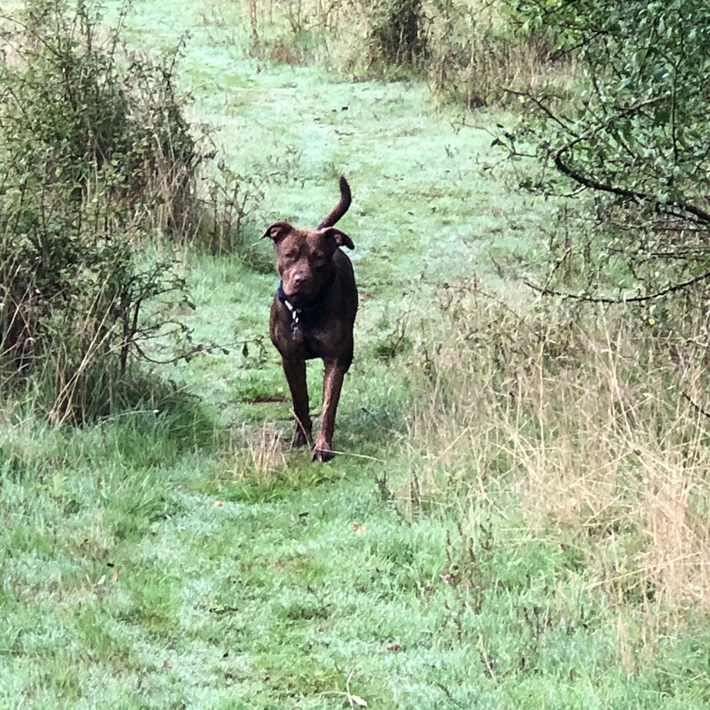 Wiggle bums - Why choose us